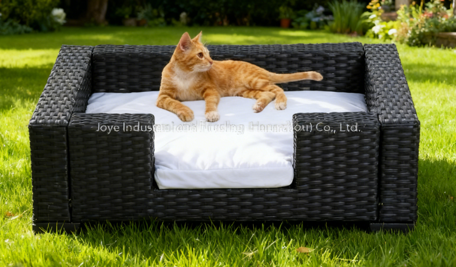 Why Is the Outdoor Pet House Becoming a Choice for Luxury Pet Parents