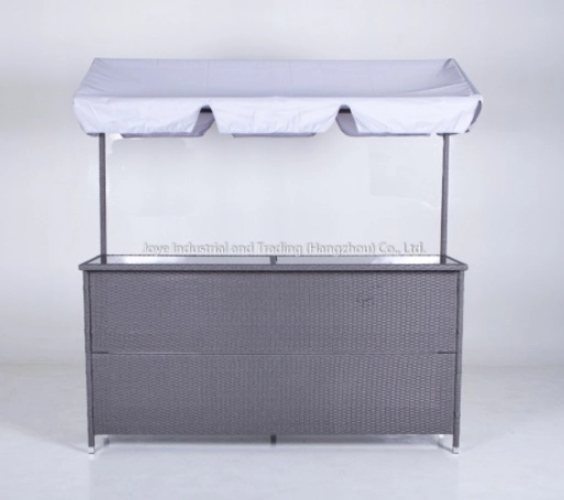 Edina Rattan Garden Bar Table With Roof